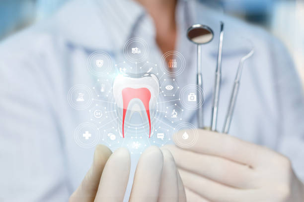 Dental Bonding in Fish Hawk, FL